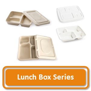 Home 320px Lunch Box.JPG